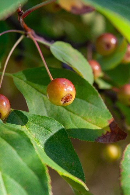 徐根宝：希望海港为国输送更多优秀球员，我们的目标是世界杯